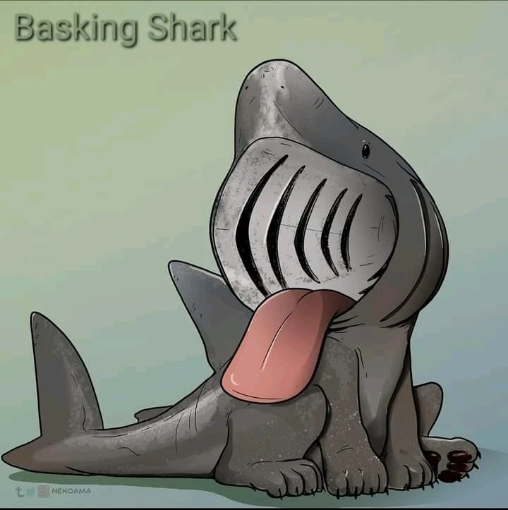 Image uploaded by Joshua