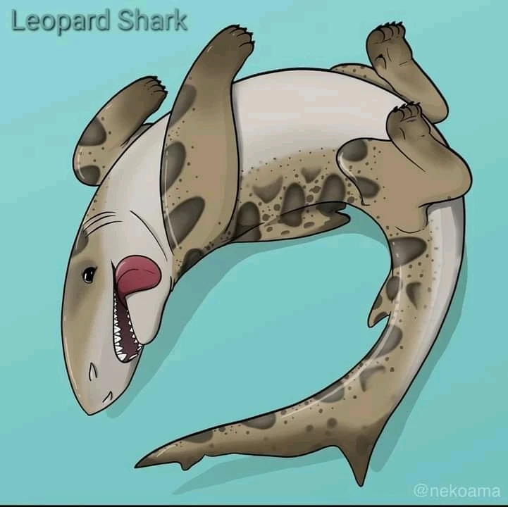 Image uploaded by Joshua