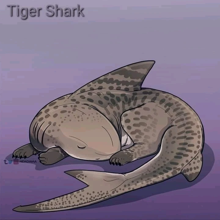 Image uploaded by Joshua