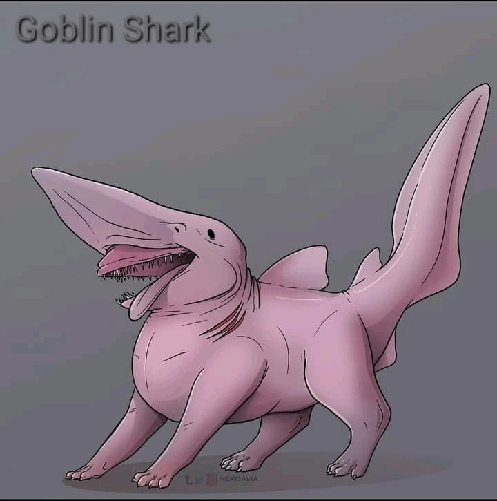 Image uploaded by Joshua