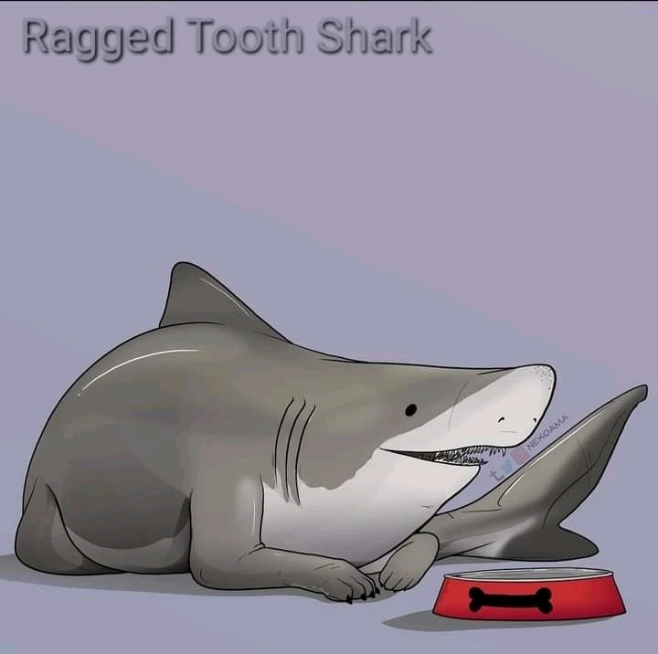 Image uploaded by Joshua