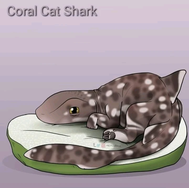 Image uploaded by Joshua