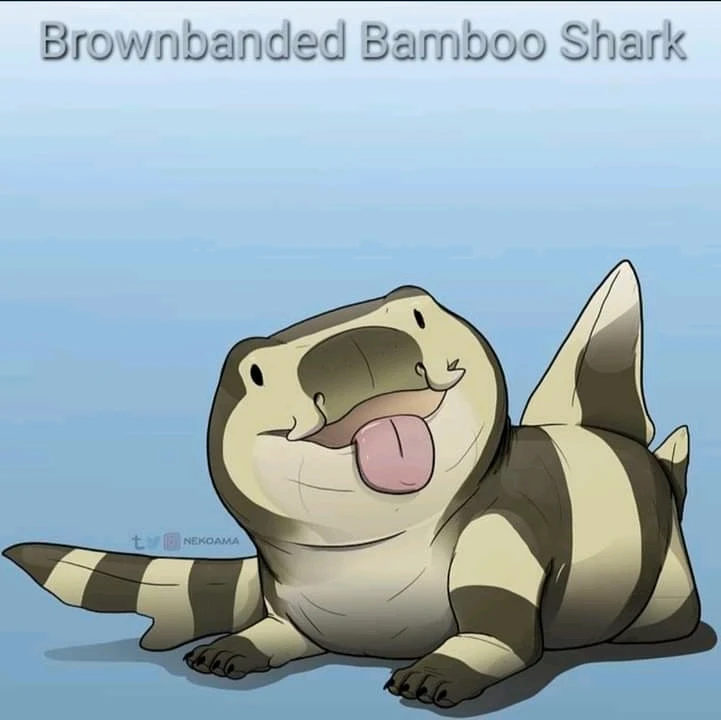 Image uploaded by Joshua