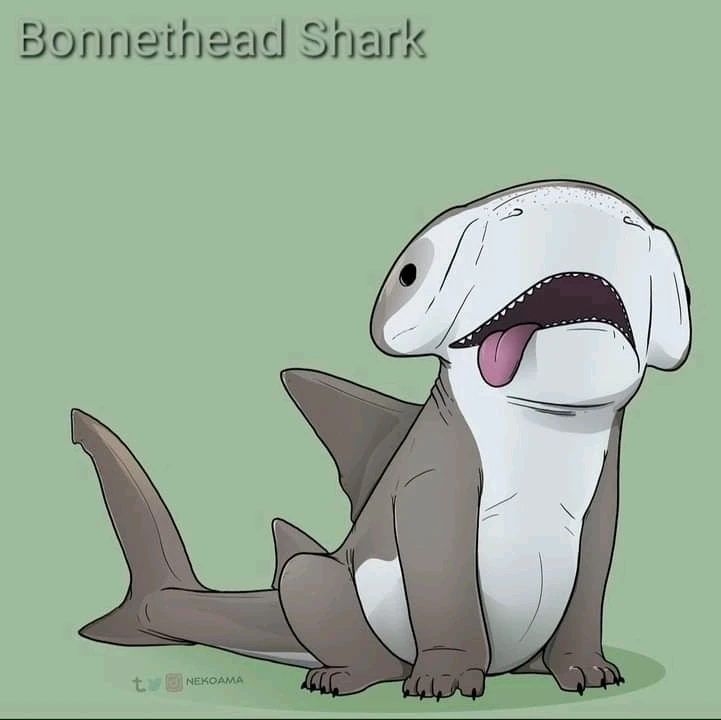 Image uploaded by Joshua