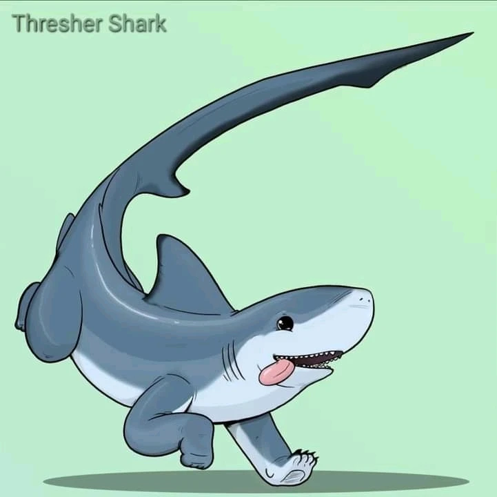 Image uploaded by Joshua