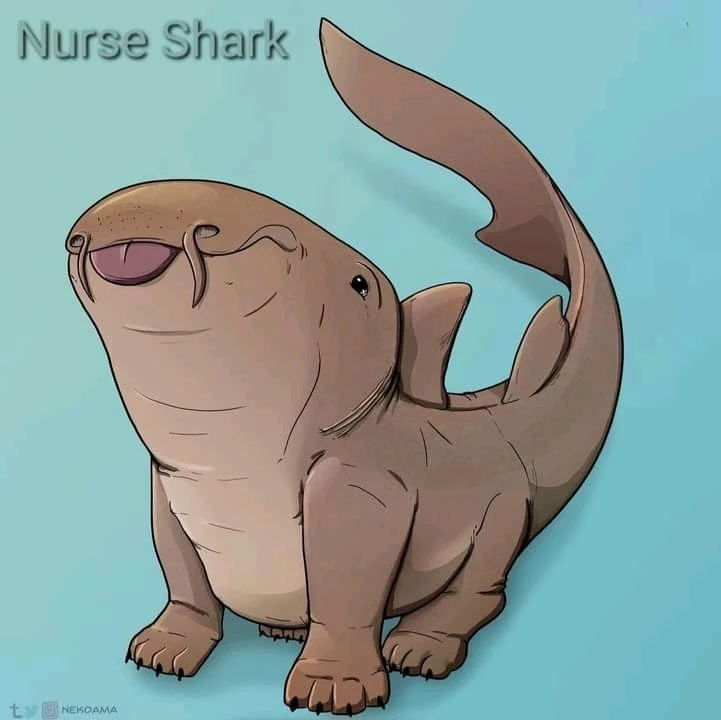 Image uploaded by Joshua