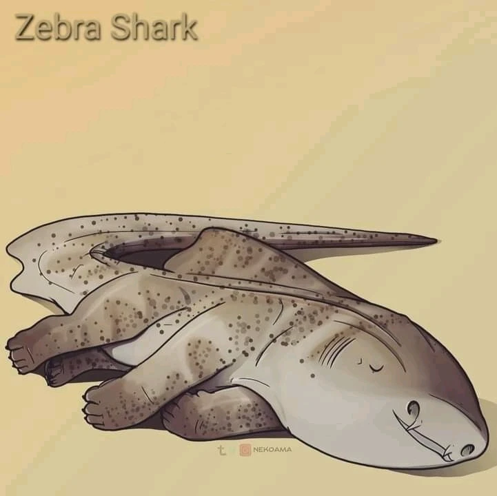 Image uploaded by Joshua