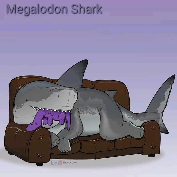 Image uploaded by Joshua