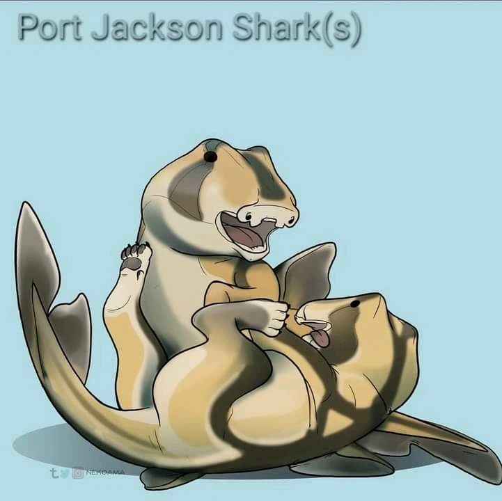 Image uploaded by Joshua