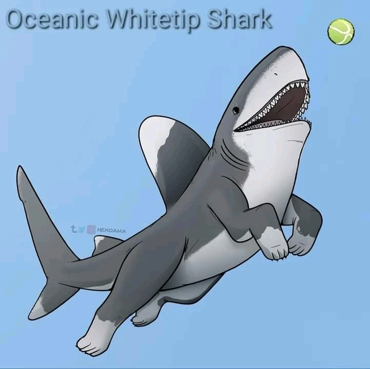 Image uploaded by Joshua