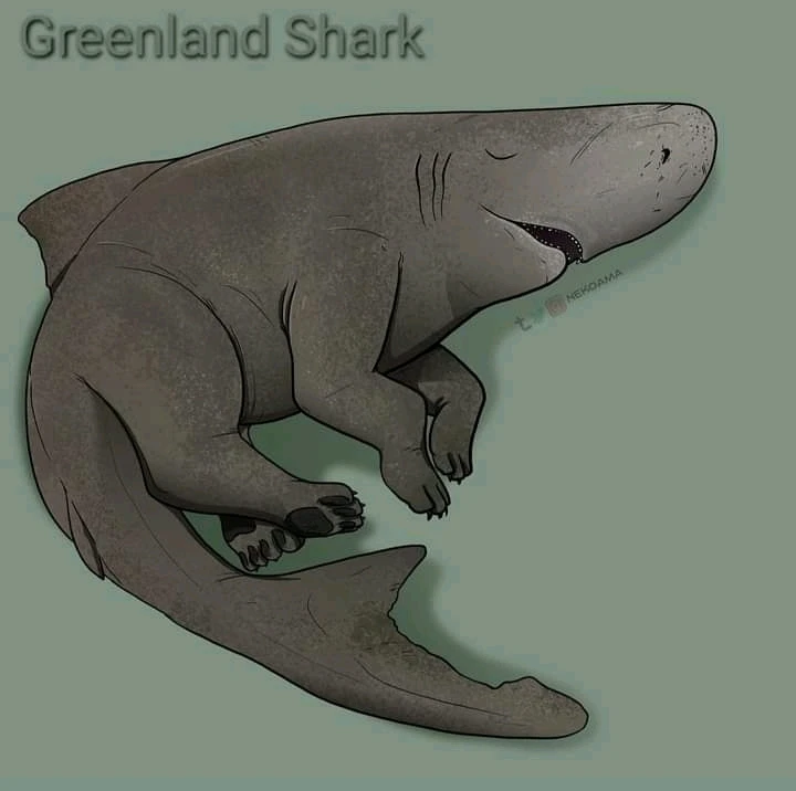 Image uploaded by Joshua