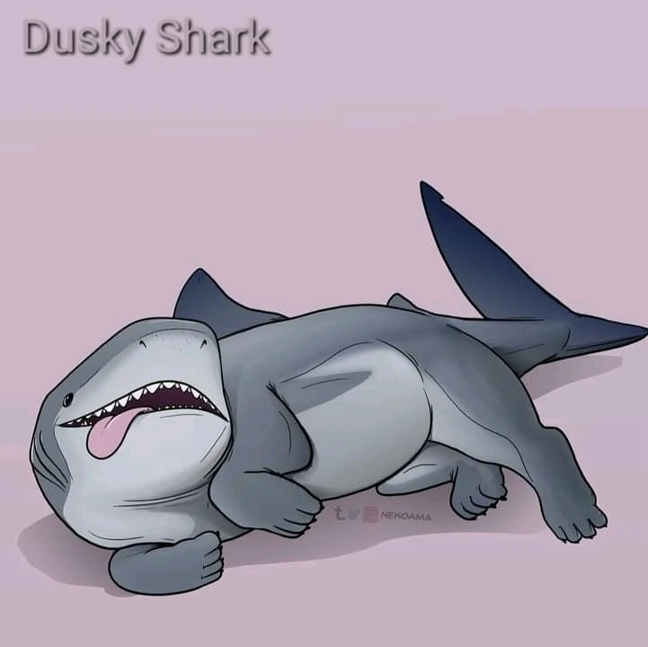 Image uploaded by Joshua