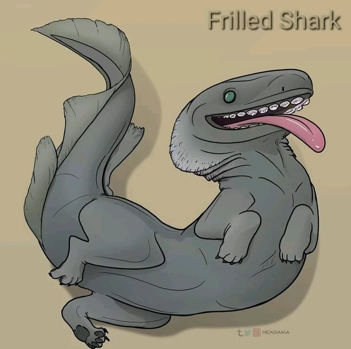 Image uploaded by Joshua