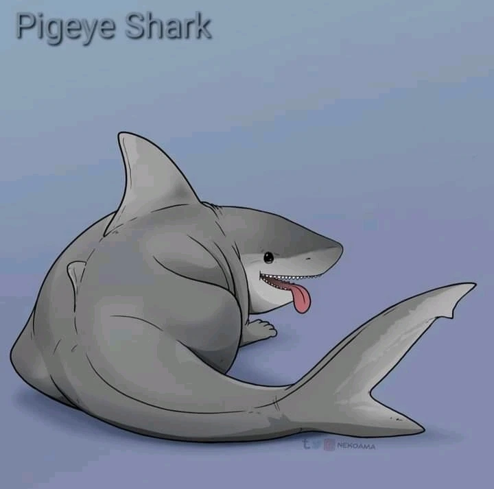 Image uploaded by Joshua