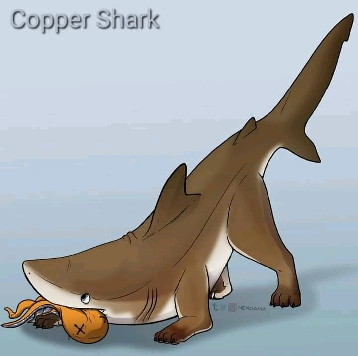 Image uploaded by Joshua