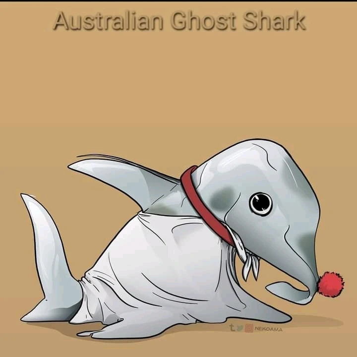 Image uploaded by Joshua