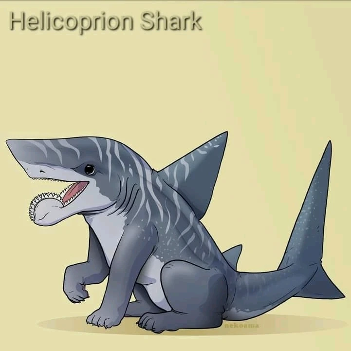 Image uploaded by Joshua