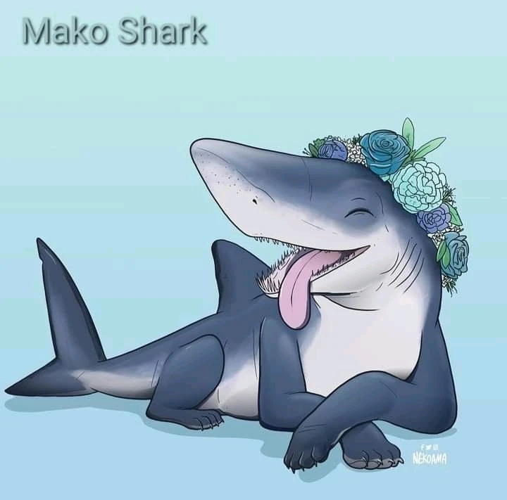 Image uploaded by Joshua