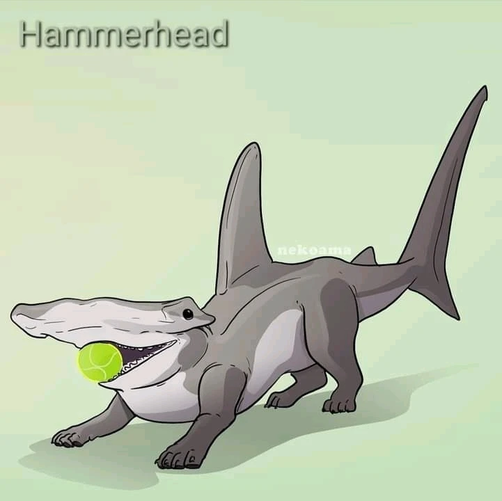 Image uploaded by Joshua