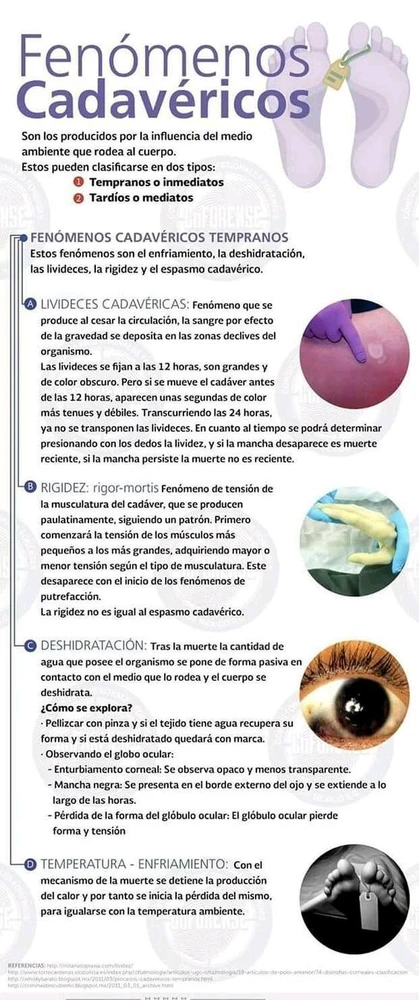 Imagem enviada por Luana