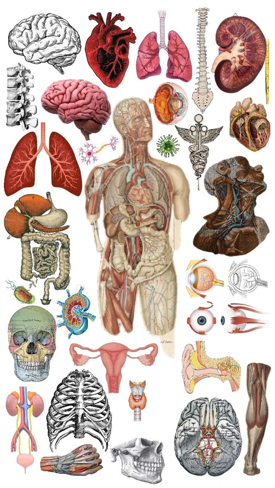 Imagem enviada por Luana