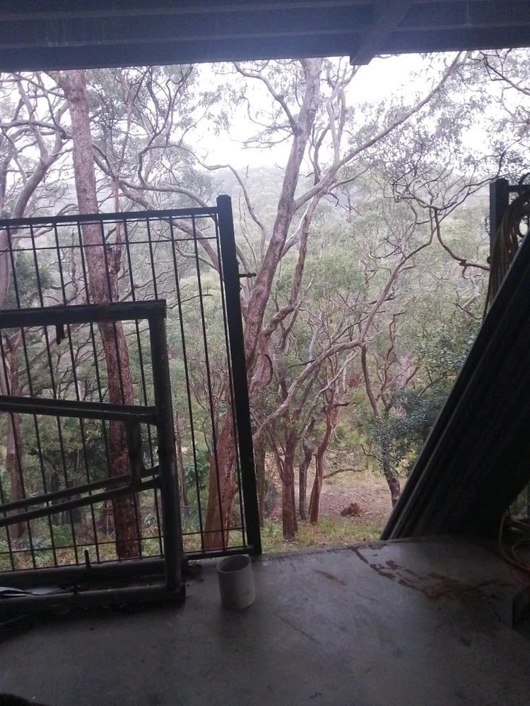 Image uploaded by Finn