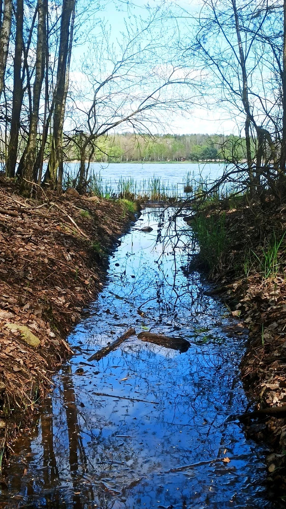 Zdjęcie dodane przez Daniel