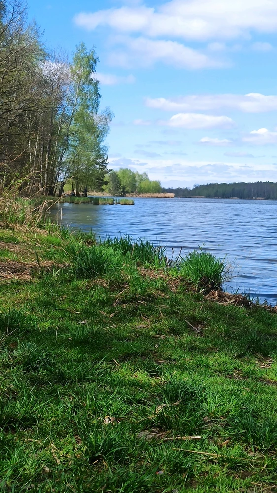 Zdjęcie dodane przez Daniel