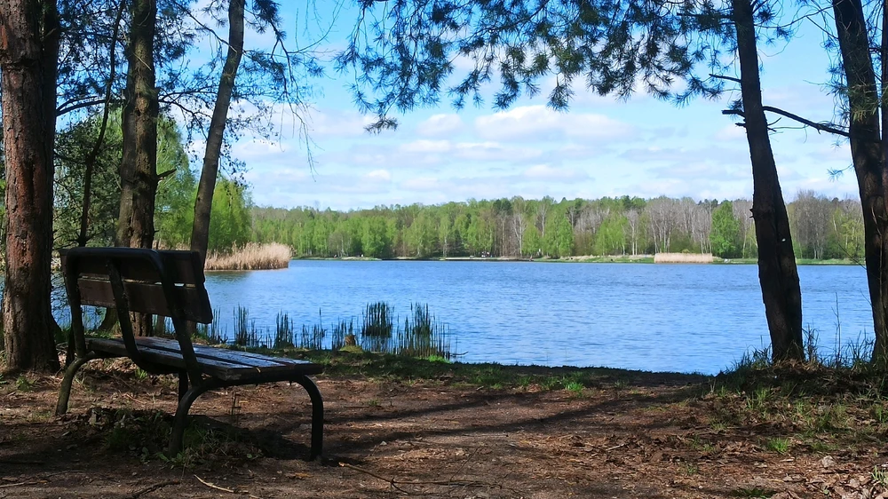Zdjęcie dodane przez Daniel