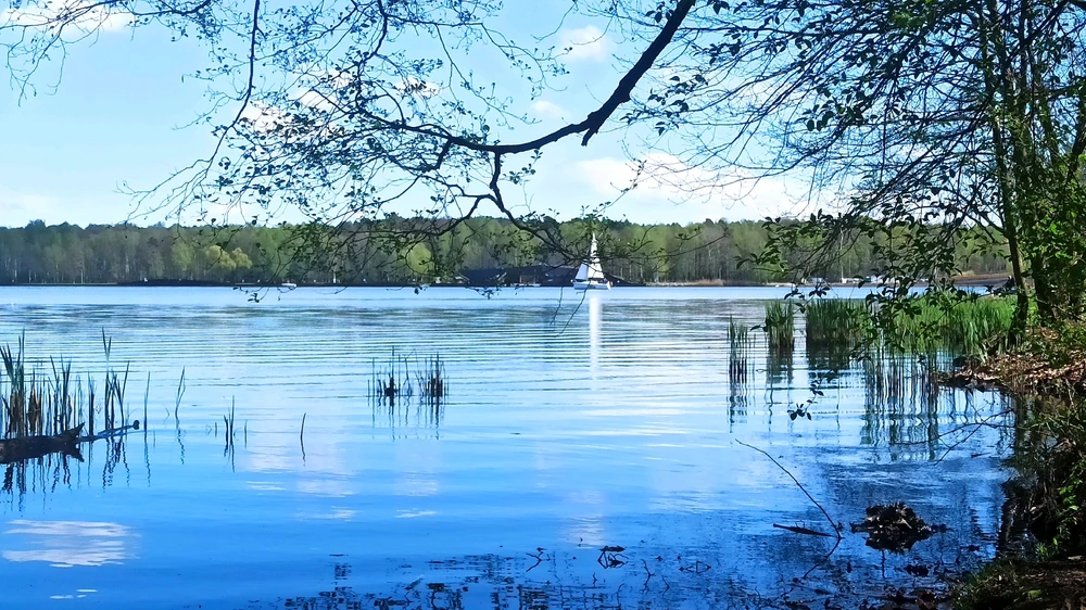 Zdjęcie dodane przez Daniel