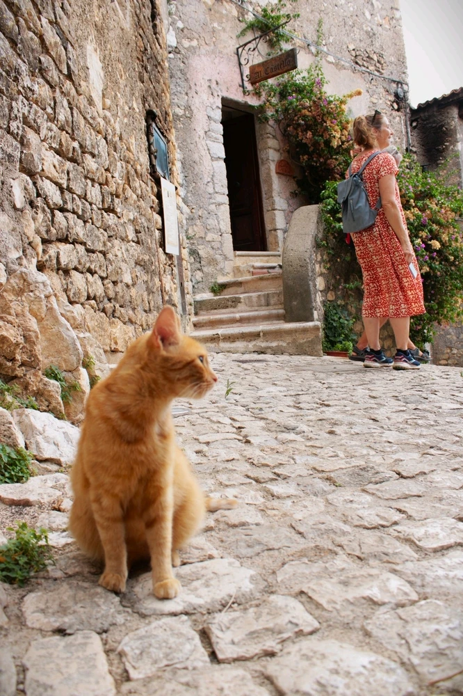 Immagine caricata da Jgor