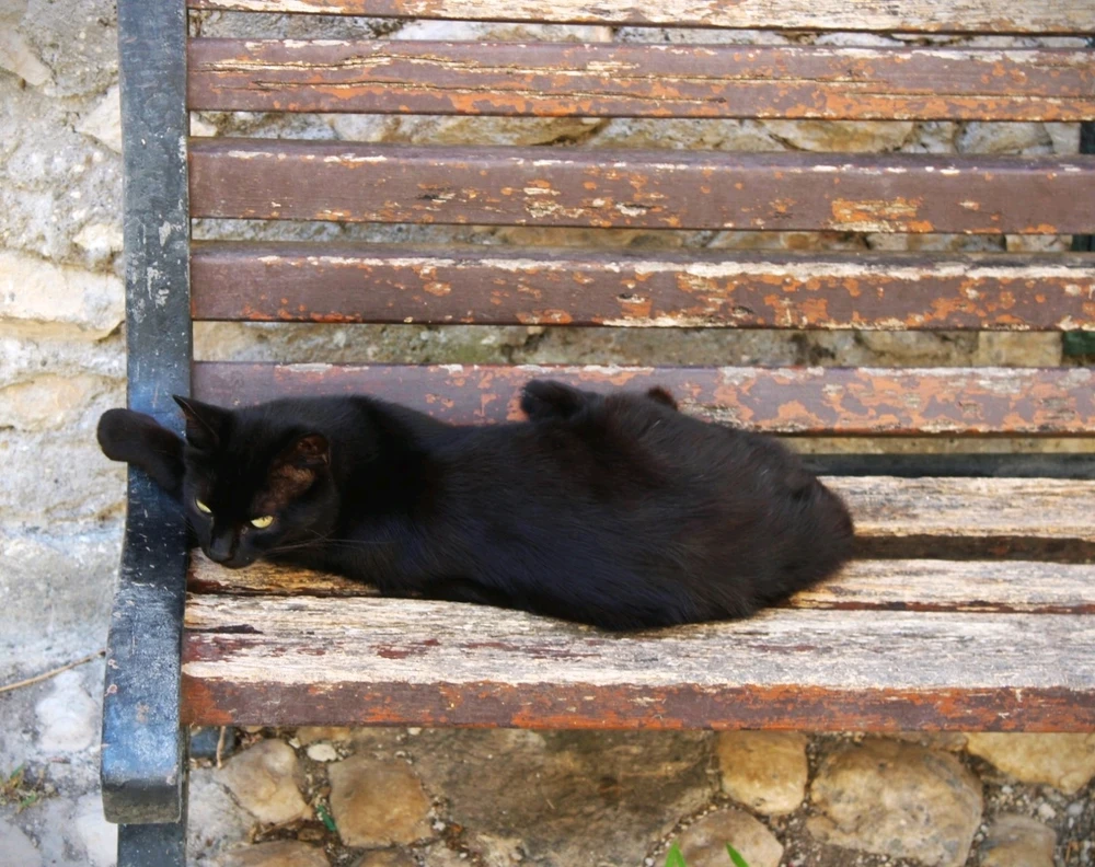 Immagine caricata da Jgor