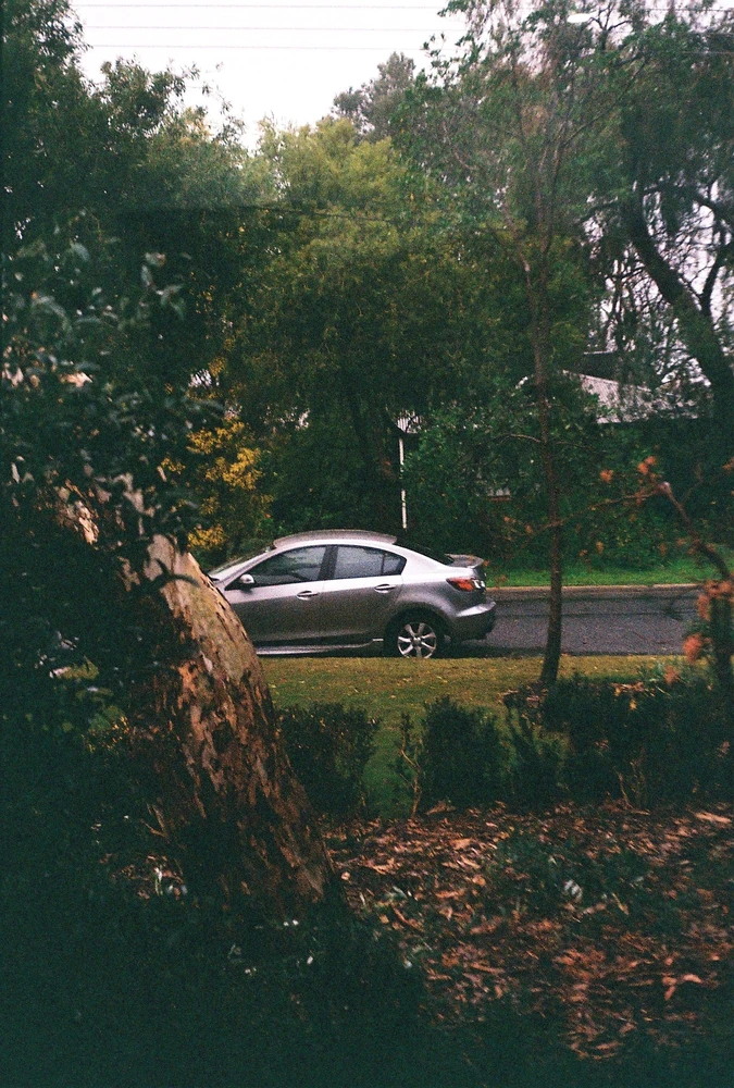 Image uploaded by Kestrel