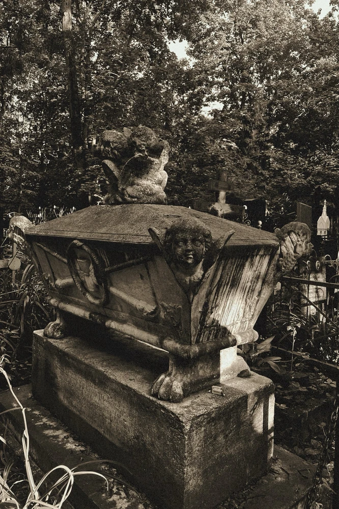 Image uploaded by Lyubov