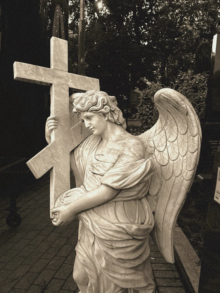 Image uploaded by Lyubov