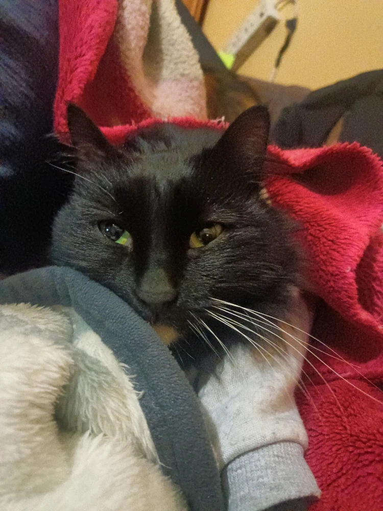 GIF uploaded by Nirene