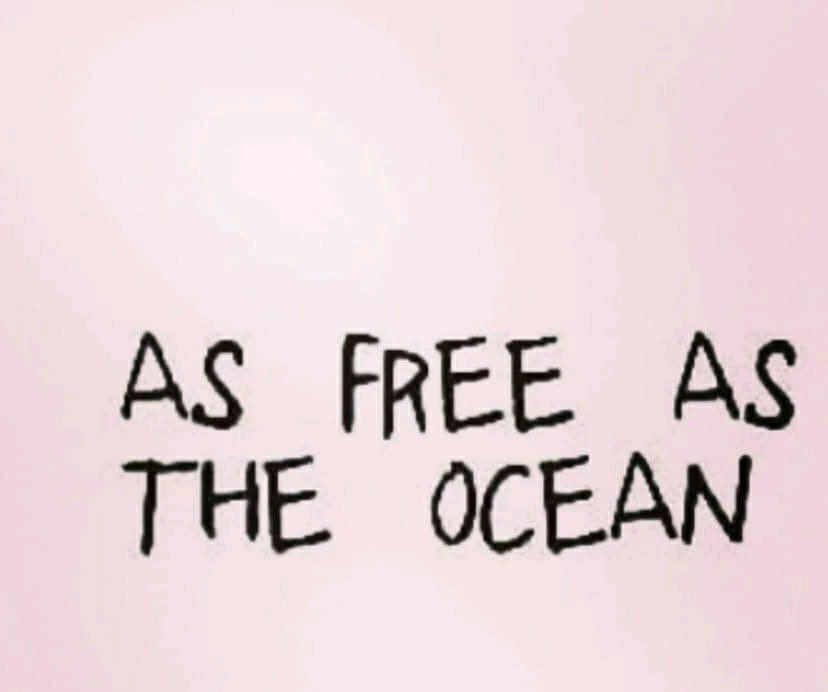 GIF încărcat de Tudor