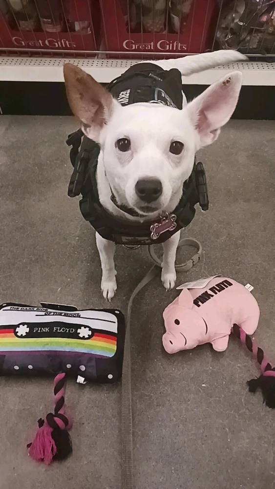 Image uploaded by DevilsDaughter