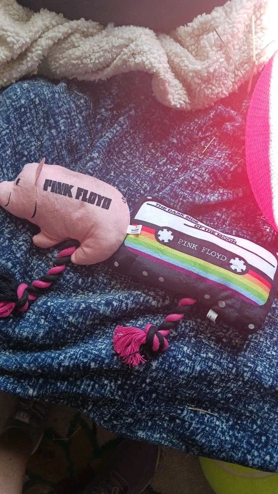 Image uploaded by DevilsDaughter