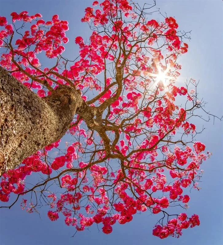 Imagem enviada por Guta