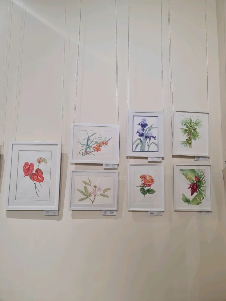 Зображення завантажив Ольга