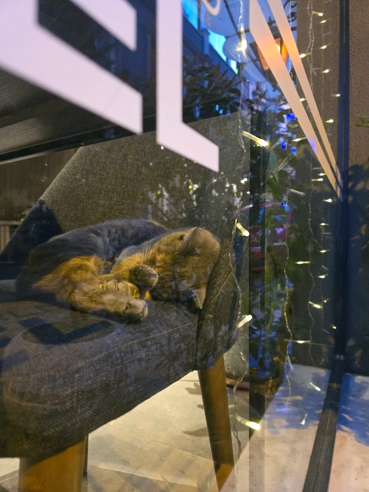 Фото загрузил Olesia