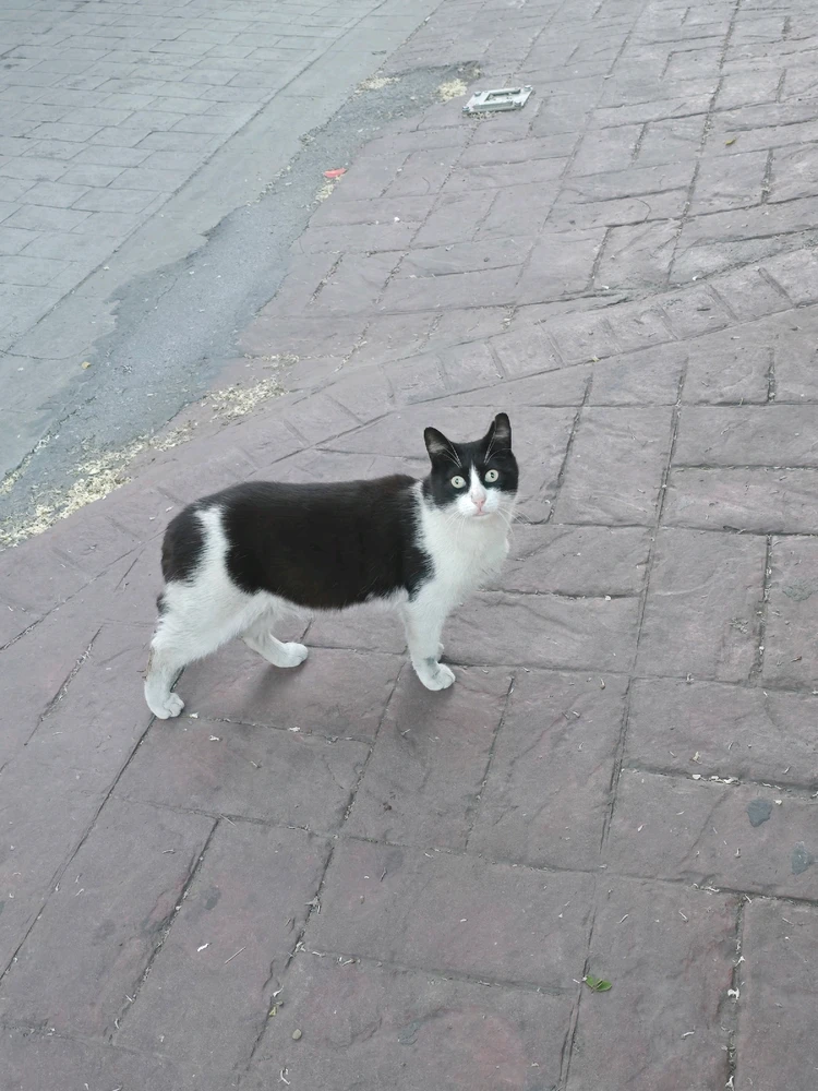 Фото загрузил Olesia