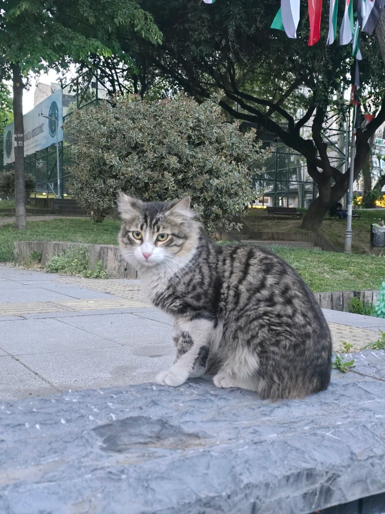 Фото загрузил Olesia