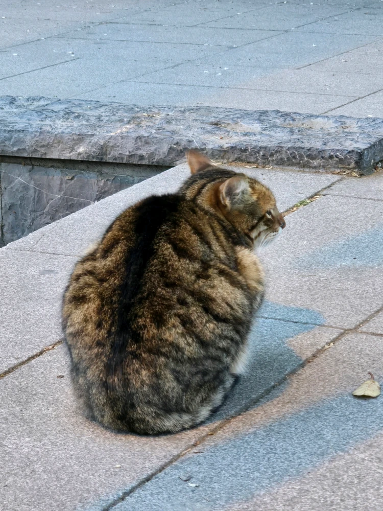 Фото загрузил Olesia