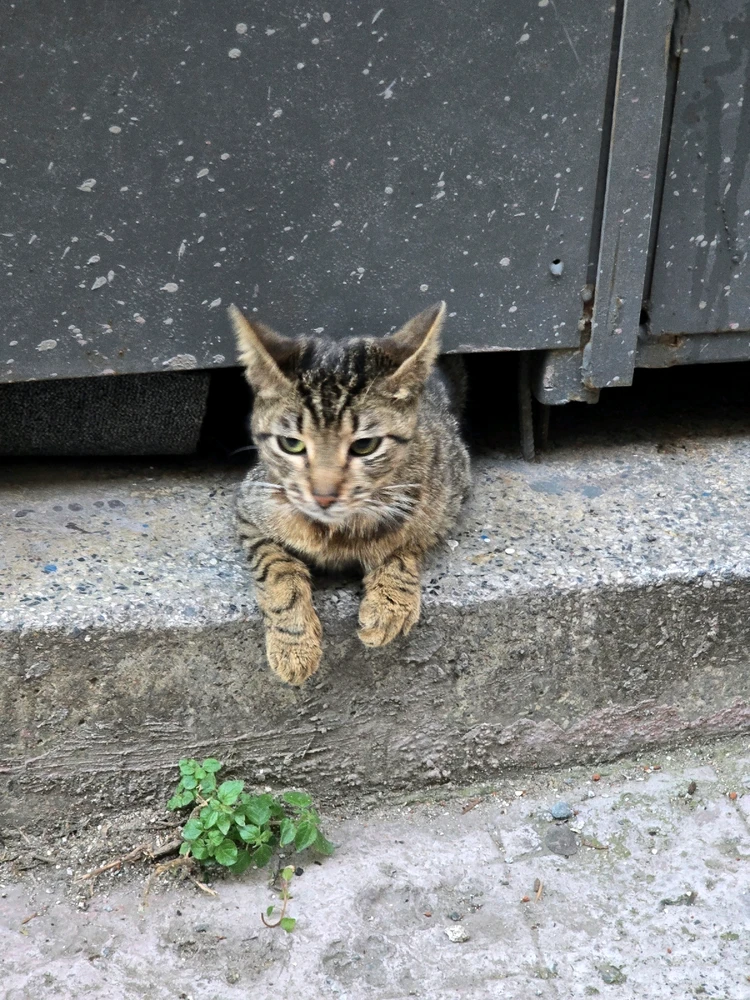 Фото загрузил Olesia