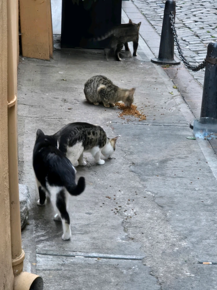 Фото загрузил Olesia