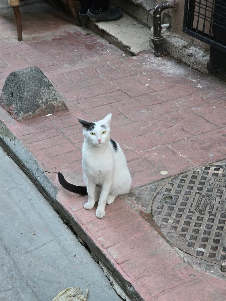 Фото загрузил Olesia