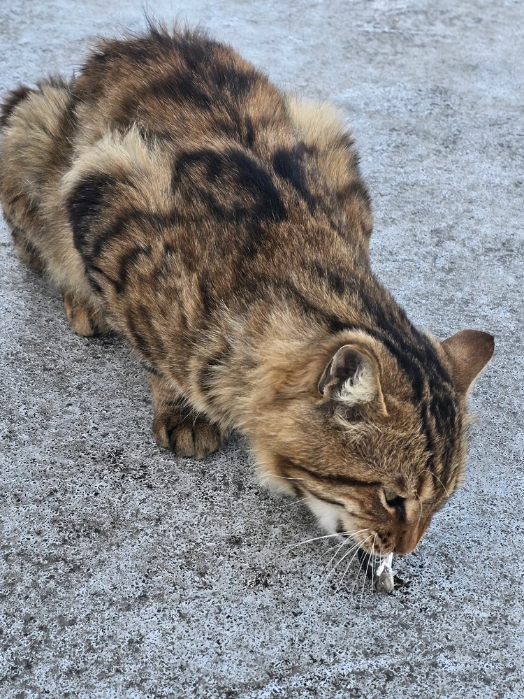 Фото загрузил Olesia