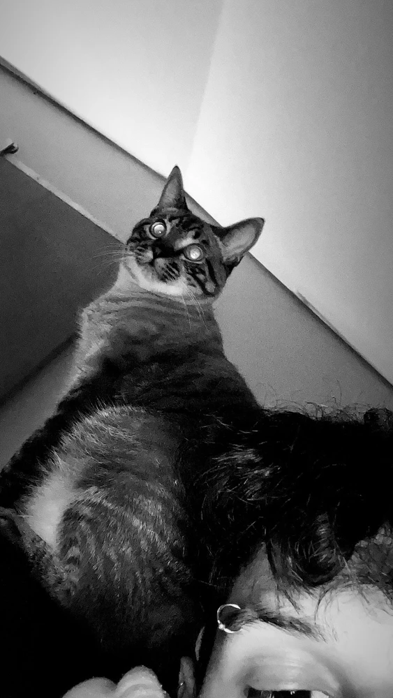 GIF enviado por Joao pedro